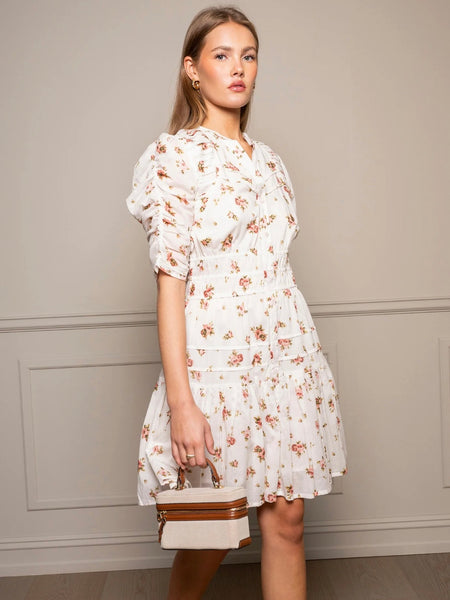 Fabienne Mini Dress Rose