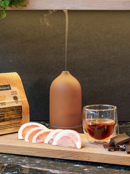AROMA STEIN DIFFUSER I TERRACOTTA