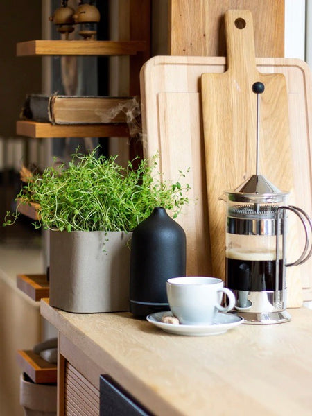 AROMA STEIN DIFFUSER I SORT