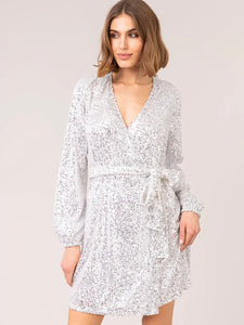 Adeline Mini Dress Silver Sequins